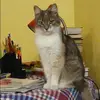 Отзыв от Дина Фомичева
